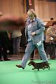 Crufts2011_2 1591